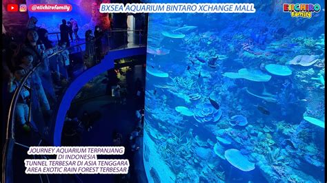 jakarta aquarium bintaro xchange
